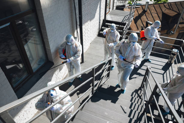 Best Crawl Space Mold Remediation  in Kula, HI