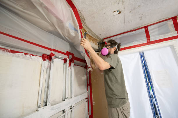 Best Commercial Mold Inspection  in Kula, HI