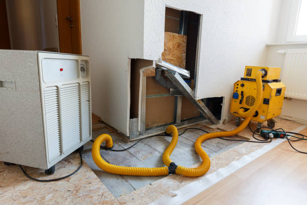 Reliable Kula, HI Mold Removal Solutions
